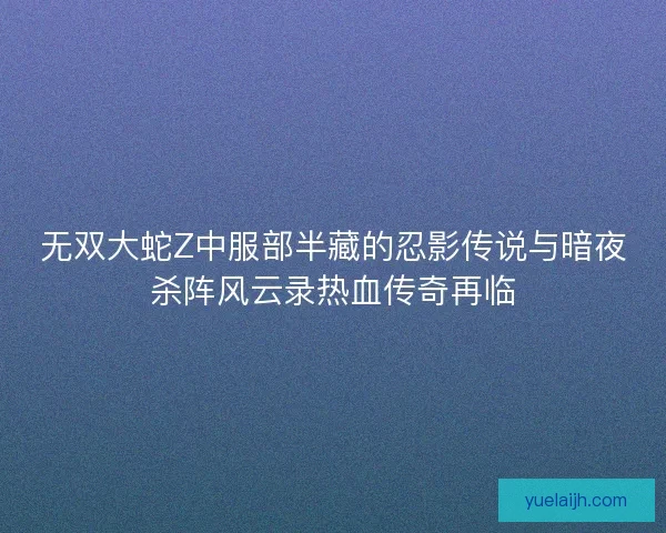 无双大蛇Z中服部半藏的忍影传说与暗夜杀阵风云录热血传奇再临