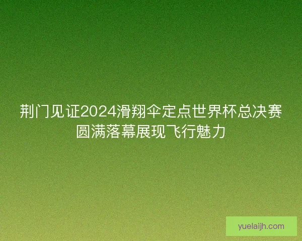 荆门见证2024滑翔伞定点世界杯总决赛圆满落幕展现飞行魅力